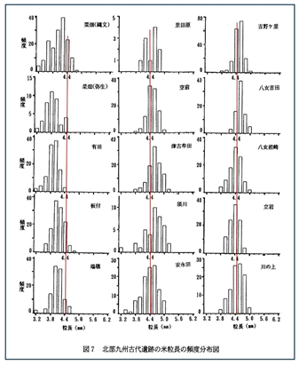 北部九州古代遺跡の米粒長の頻度分布図